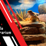 Pet Reptile Terrarium